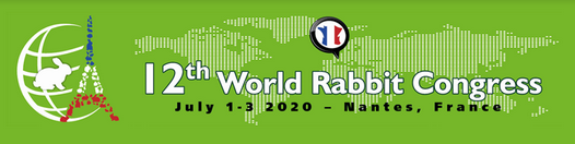 logo wrc 2020